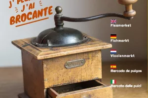PUCES DE COLLONGE - LA CHAPELLE SOUS BRANCION