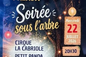 Soirée sous l'arbre