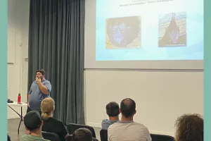 Conférence-balade : La nuit de la chauve-souris 🦇