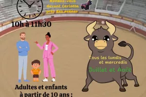 Visite des arènes