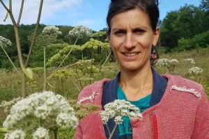 Ateliers "avec les plantes"