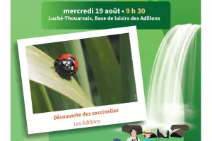 LES ESTIVALES DE LA NATURE : Découverte des coccinelles