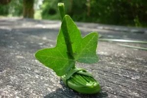 Des plantes et des jeux
