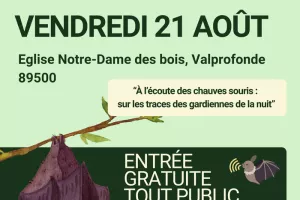 À l’écoute des chauves souris : sur les traces des gardiennes de la nuit