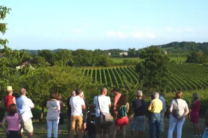 Repas chez le vigneron, au Domaine Dou Bernès