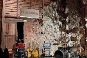 LES CONCERTS DU SÉCHOIR : THE STINGERS