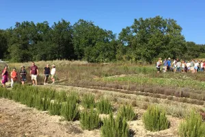 Visite de la ferme bio Neoherba