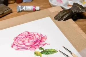 Cours d'aquarelle botanique