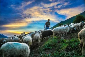 Exposition: Estives, photographie de David Le Déodic
