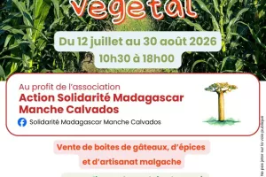 Exposition ludique sur Madagascar