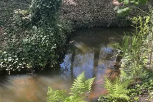 Balade contée le long du Bétey  "Le murmure du ruisseau"