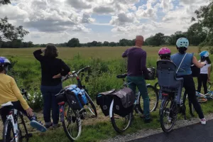 Visite guidée à vélo dans les marais de Couëron