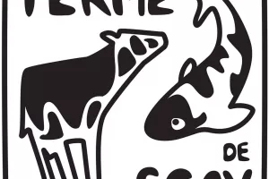 Vente de viande bovine et viande de veau de lait