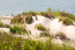 LE MONDE DE LA DUNE