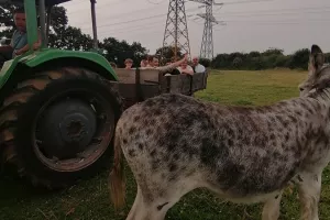 Visite à la ferme