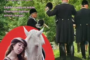Spectacle équestre et trompes de chasse au Château de Druyes