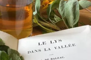 Atelier "Tisane - Le Lys dans la vallée : du roman à la tasse"