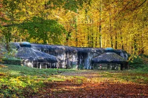 Les peintres et le Fort de Schœnenbourg
