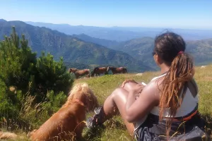 EXCURSION VERS LE CANIGOU EN 4X4 AVEC PASSCANIGO
