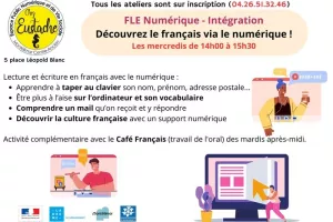 FLE Numérique