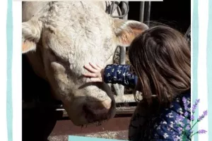 Visite de la Ferme des Trois Cheminées