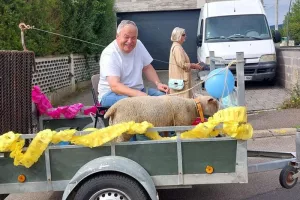 Marche du mouton
