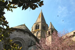 Visites commentées de la Collégiale et des vieux quartiers