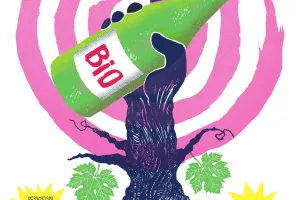 Salon Vinaviva : les vins d'ici