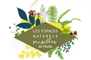ENS - BALADE À LA DÉCOUVERTE DU LITTORAL