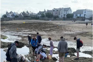 La vie à marée basse à Piriac-sur-Mer