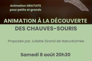 A la découverte des chauves-souris
