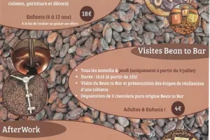 Visite Bean to bar- Chocolaterie Lamy