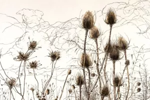 Exposition : "De la ligne à l’empreinte : Variation autour du trait"