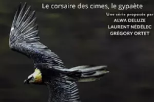 Projection : "Le corsaire des cimes, le gypaète barbu"