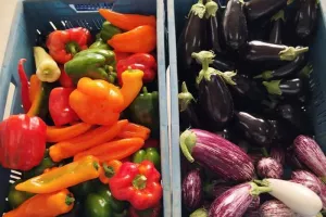 Marché de producteurs locaux