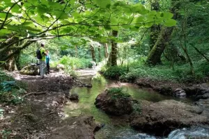 Atelier en nature "A la recherche du blob"