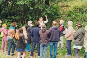 Sortie plantes sauvages comestibles