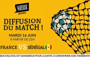 Retransmission match de football : Sénégal vs France