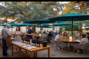 Diner vigneron