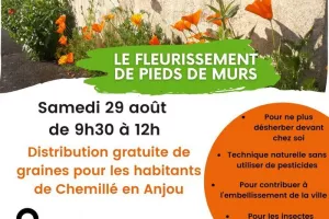 Distribution de graines de fleurs