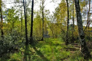 Escapades Nature : sortie photo