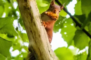 A la rencontre de la biodiversité