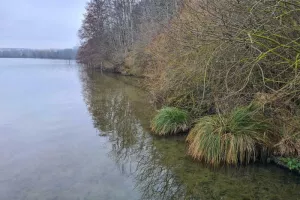 Balade contée - Cléry-sur-Somme