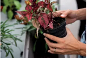 Atelier jardinier