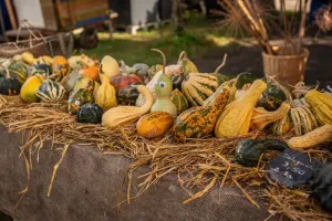 Marché d'automne