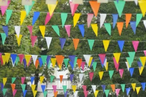 Fêtes de Sauveterre-de-Béarn