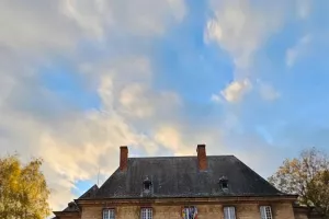 Peinture au sel