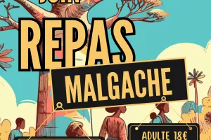 Repas Malgache