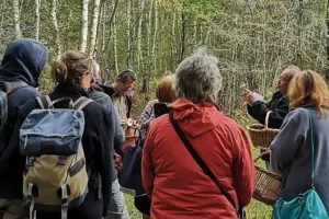 Balade au royaume des champignons