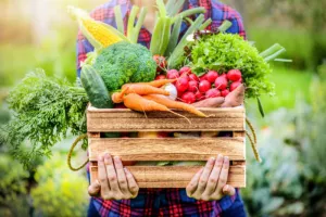 Récolte et atelier cuisine